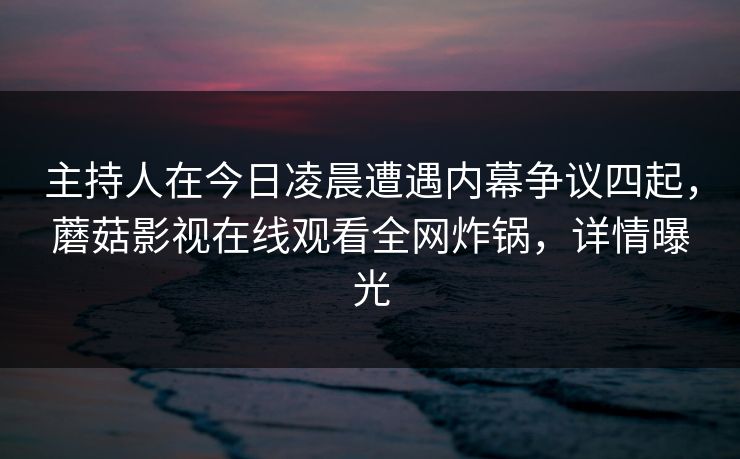 主持人在今日凌晨遭遇内幕争议四起，蘑菇影视在线观看全网炸锅，详情曝光